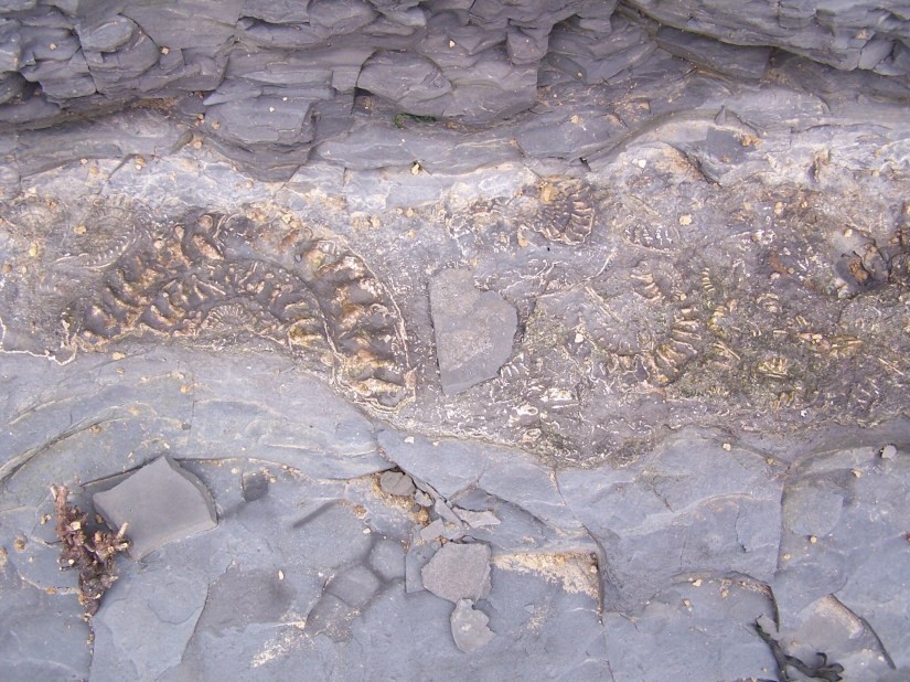 1BAB44E6-20AA-43CA-B4F1-872A11EF6F17