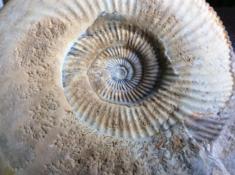 D7349BD2-D3C7-4CF0-8862-04E0C7AF282E