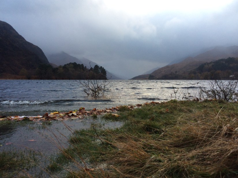 C7B84CDC-5AF6-4585-99C9-3896E93B3705