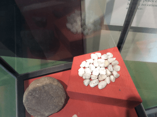 A992C328-075E-48EC-8E2D-B12917BF97B2