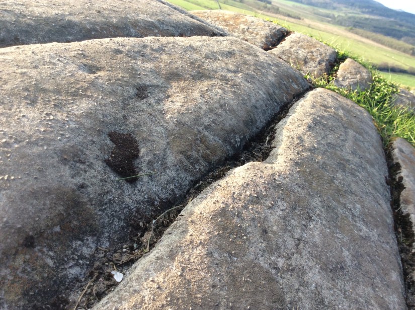 81EE9CB4-D5B7-4353-A118-0CEE014A1386