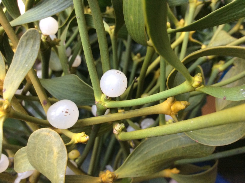 027E6949-A9B0-4108-9D3F-CF99E6276474