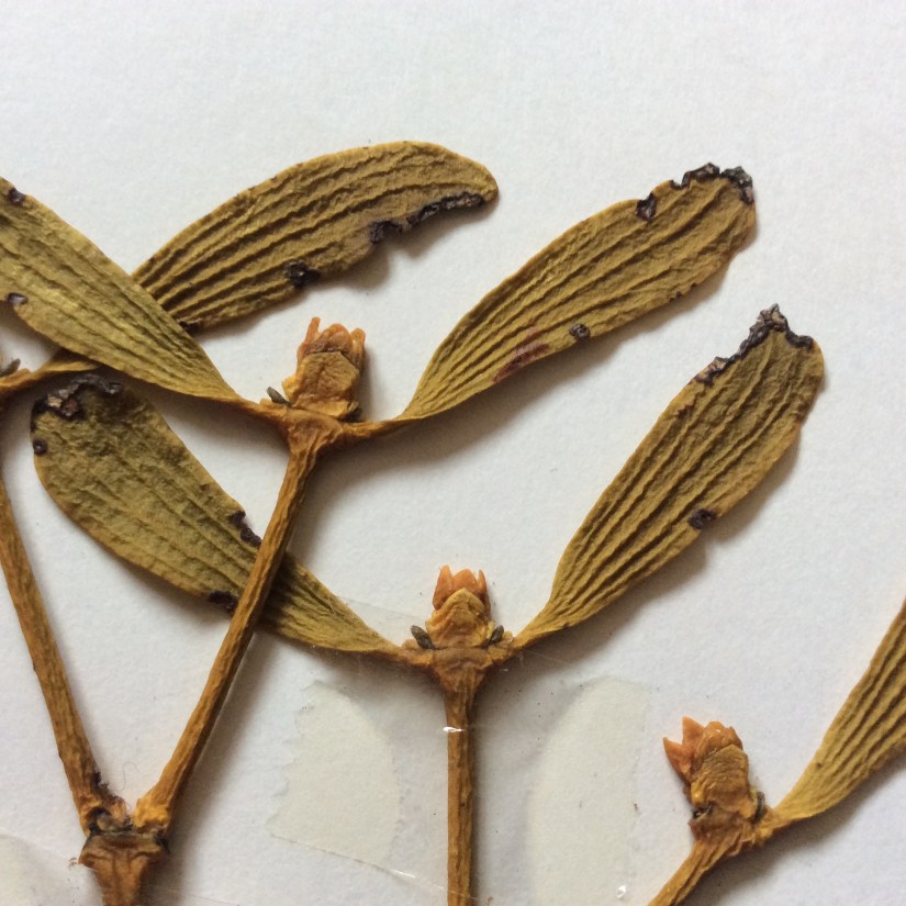 21049EB0-012A-448E-BFF8-A128761AD257