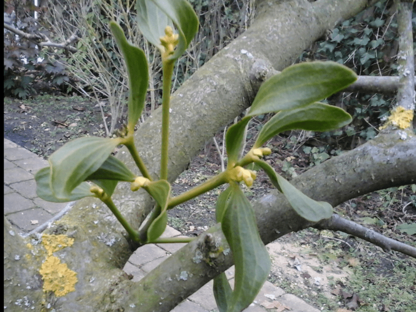 622DEF3E-CA20-4991-83EC-2F364AB602A5