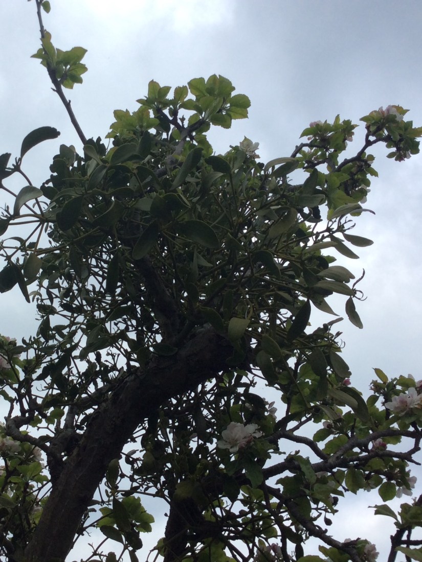 DA4200CE-6642-41AB-8820-D11085FACA1D