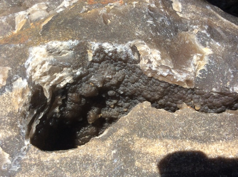 05E1A3E6-7A1E-4BAF-AD08-F560EAE0C08A