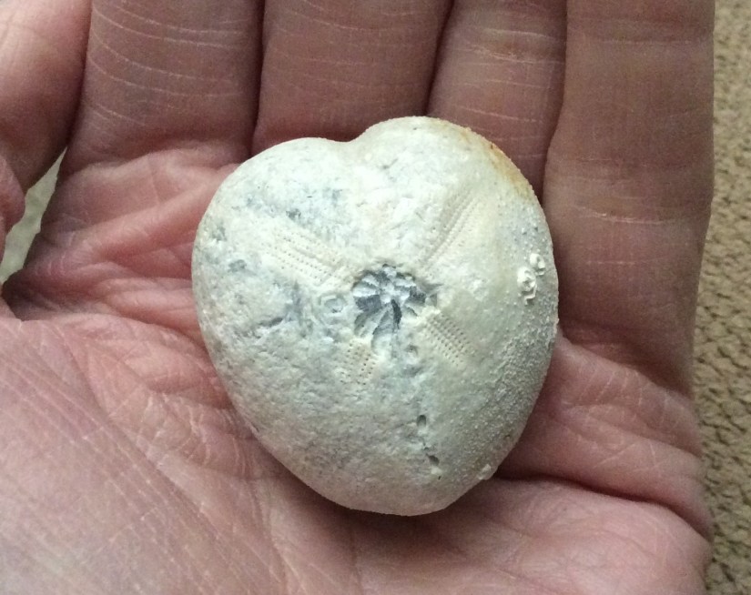 667D8083-8D0E-4CB7-B2C2-BED558694B1E