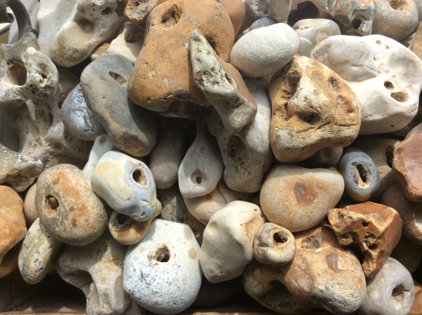 D7F51122-40EF-493B-A5BD-88953C90D6E9