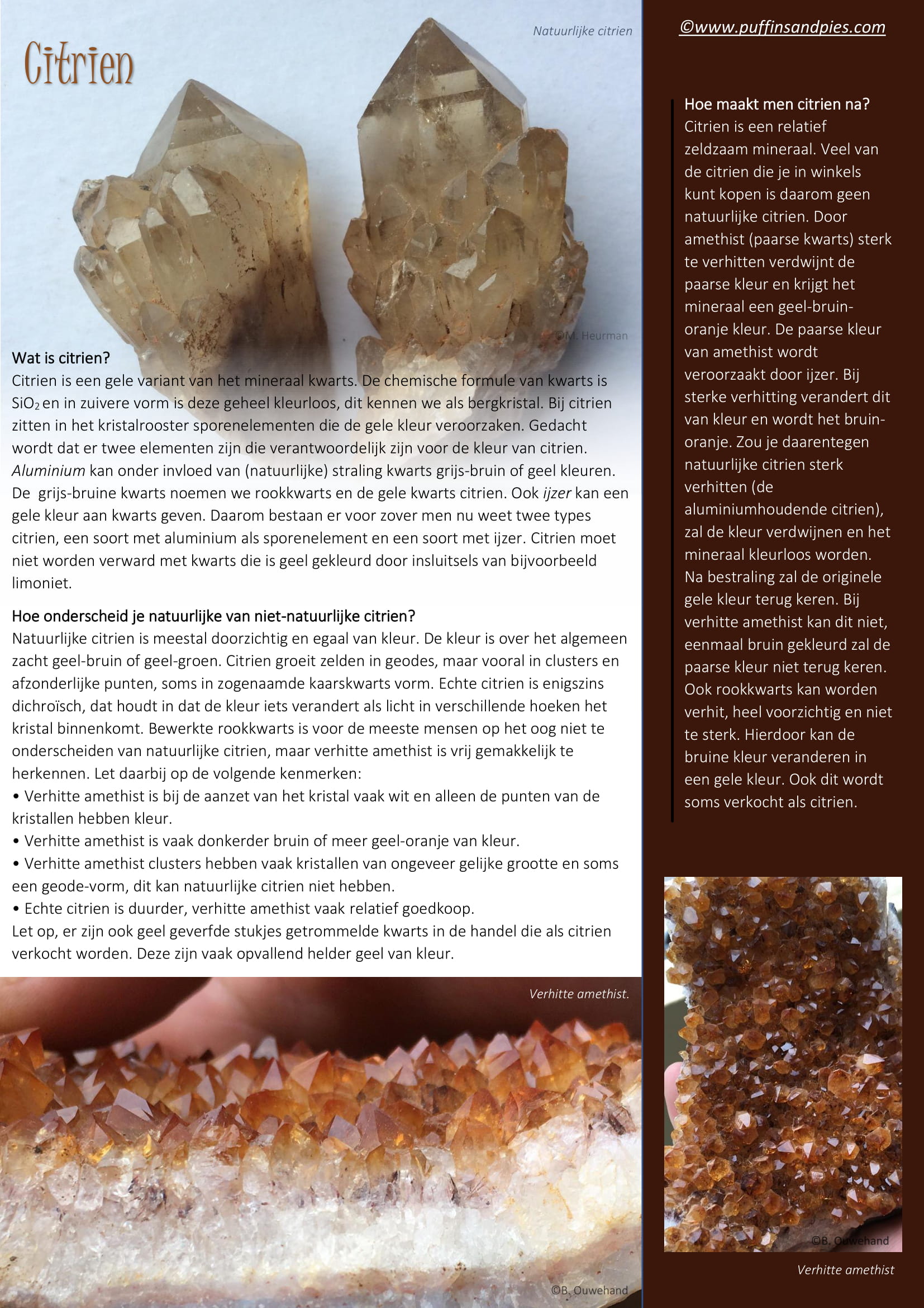 Citrien echt en fake-1